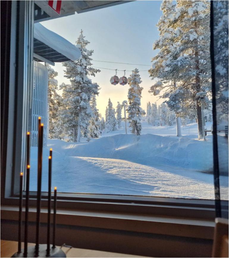 Vuosselin Helmi C11 - 2x Kesaekausikortti, Talvella 2x Hissiliput Appartement